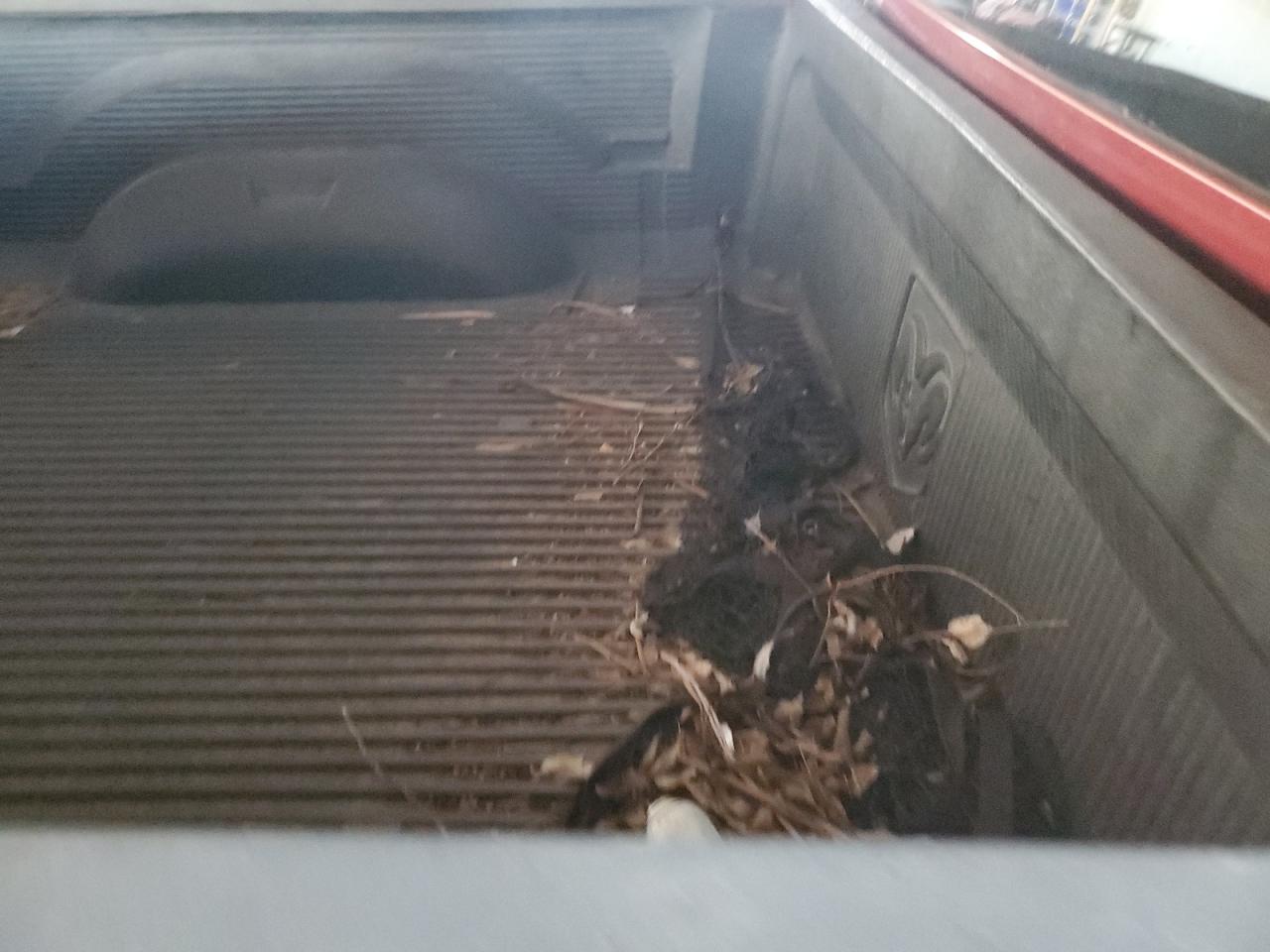 2012 Dodge Ram 1500 St VIN: 3C6JD6AT8CG162762 Lot: 90372105