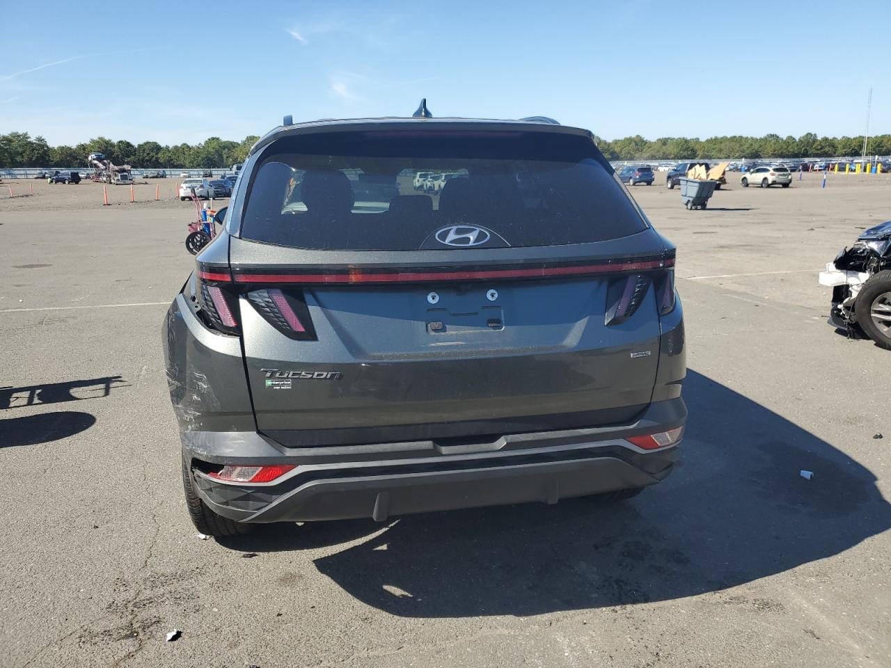 2023 Hyundai Tucson Sel VIN: 5NMJBCAE3PH196455 Lot: 84937325