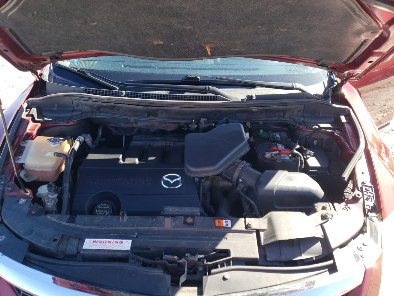 2009 Mazda Cx-9 VIN: JM3TB38V490178961 Lot: 85701205