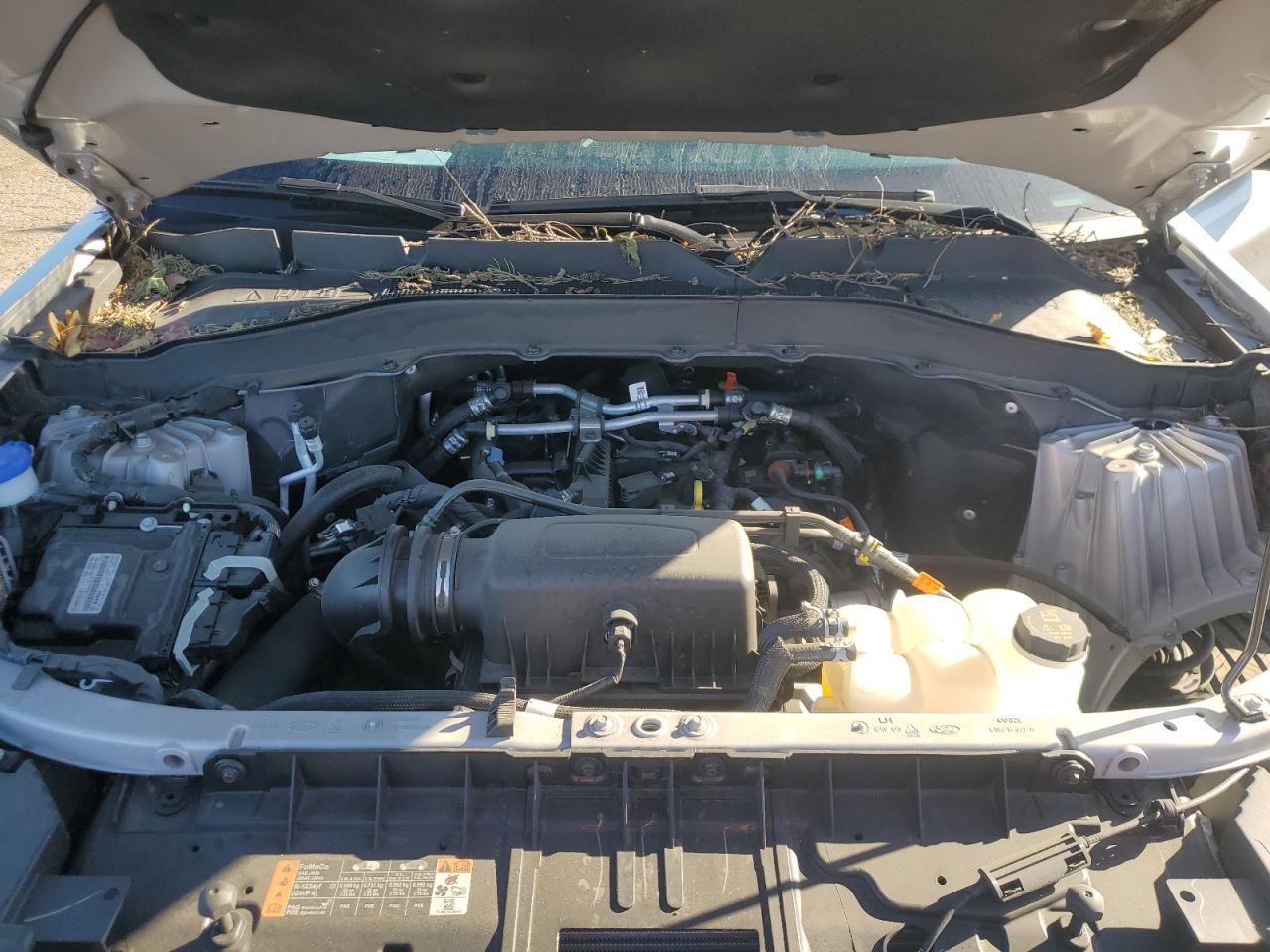 2024 Ford Explorer Xlt VIN: 1FMSK8DH5RGA39006 Lot: 85674255