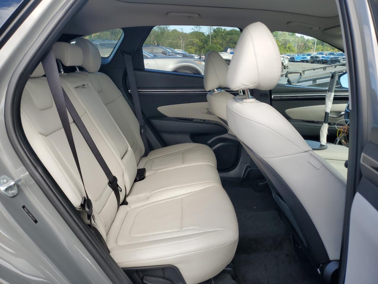 2024 Hyundai Tucson Limited VIN: 5NMJECDE4RH367221 Lot: 82288055