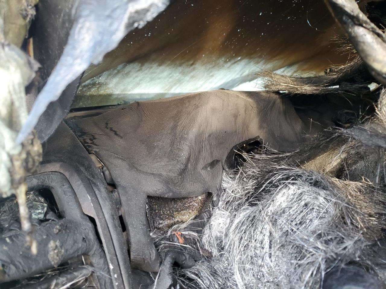 2020 Ram 1500 Big Horn/Lone Star VIN: 1C6SRFBT5LN343734 Lot: 82443055