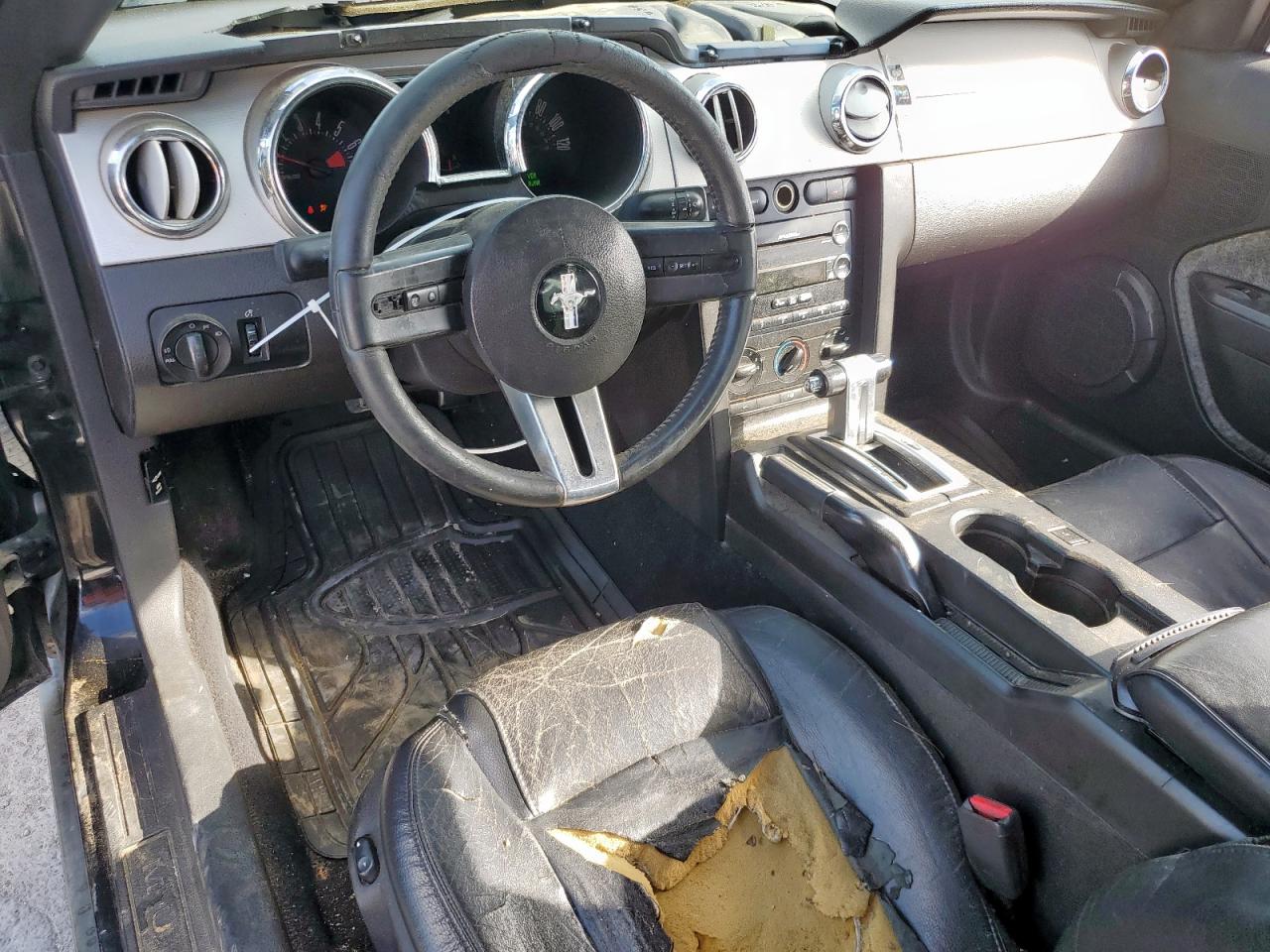 2009 Ford Mustang VIN: 1ZVHT80N495118795 Lot: 85481785