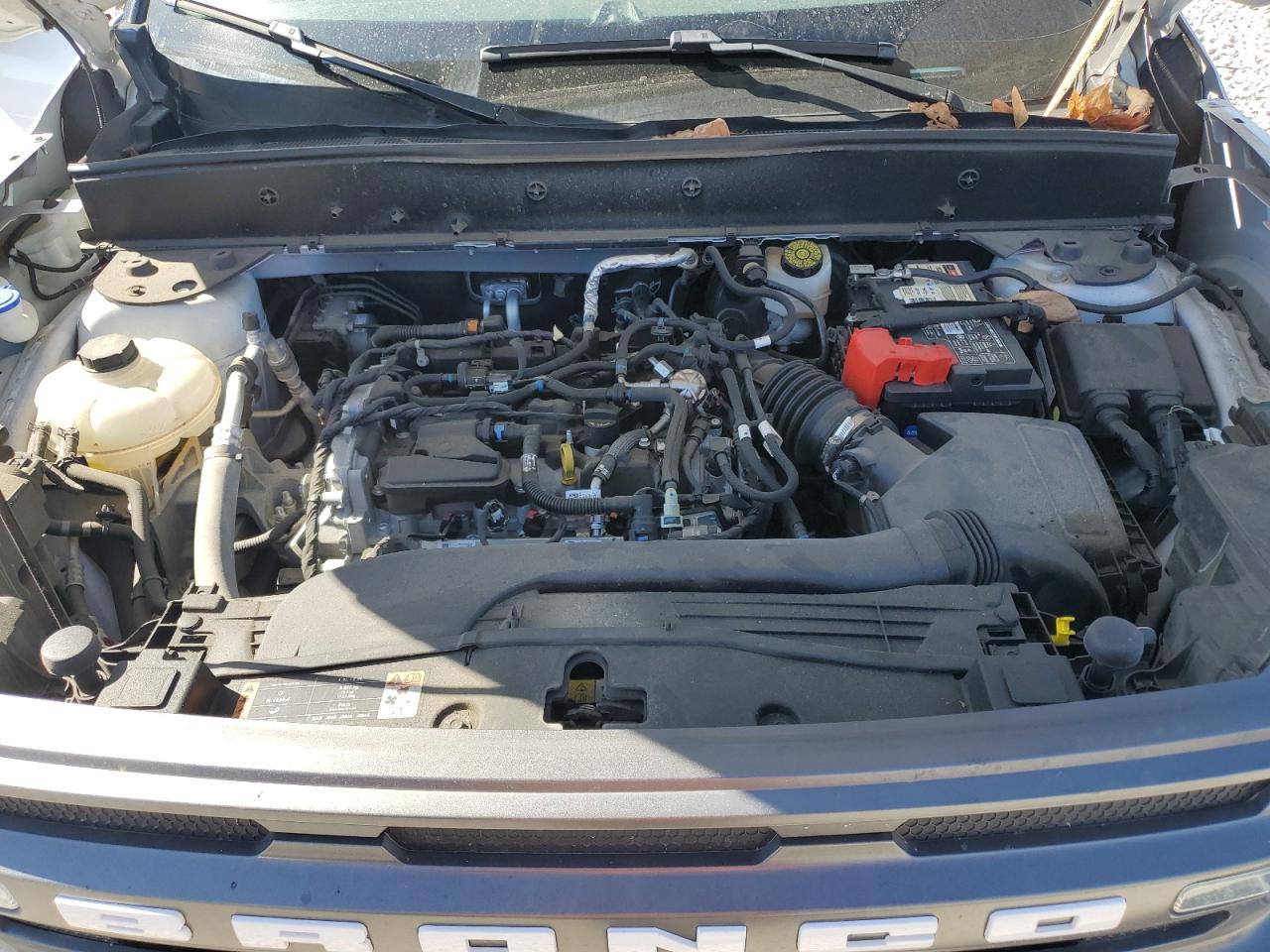 2021 Ford Bronco Sport Big Bend VIN: 3FMCR9B66MRB00436 Lot: 84453375