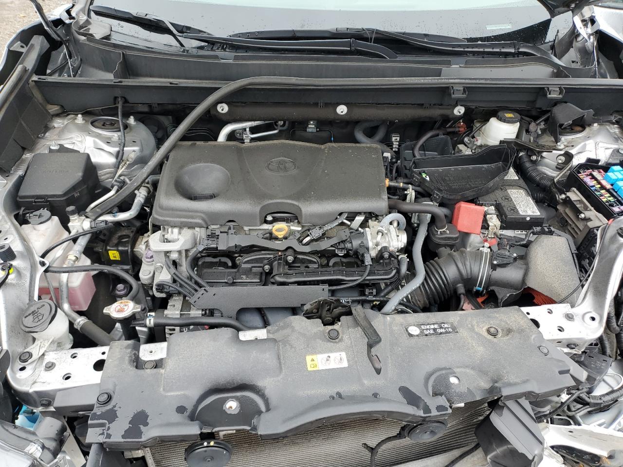 2023 Toyota Rav4 Xle VIN: 2T3P1RFV5PC386134 Lot: 86448355