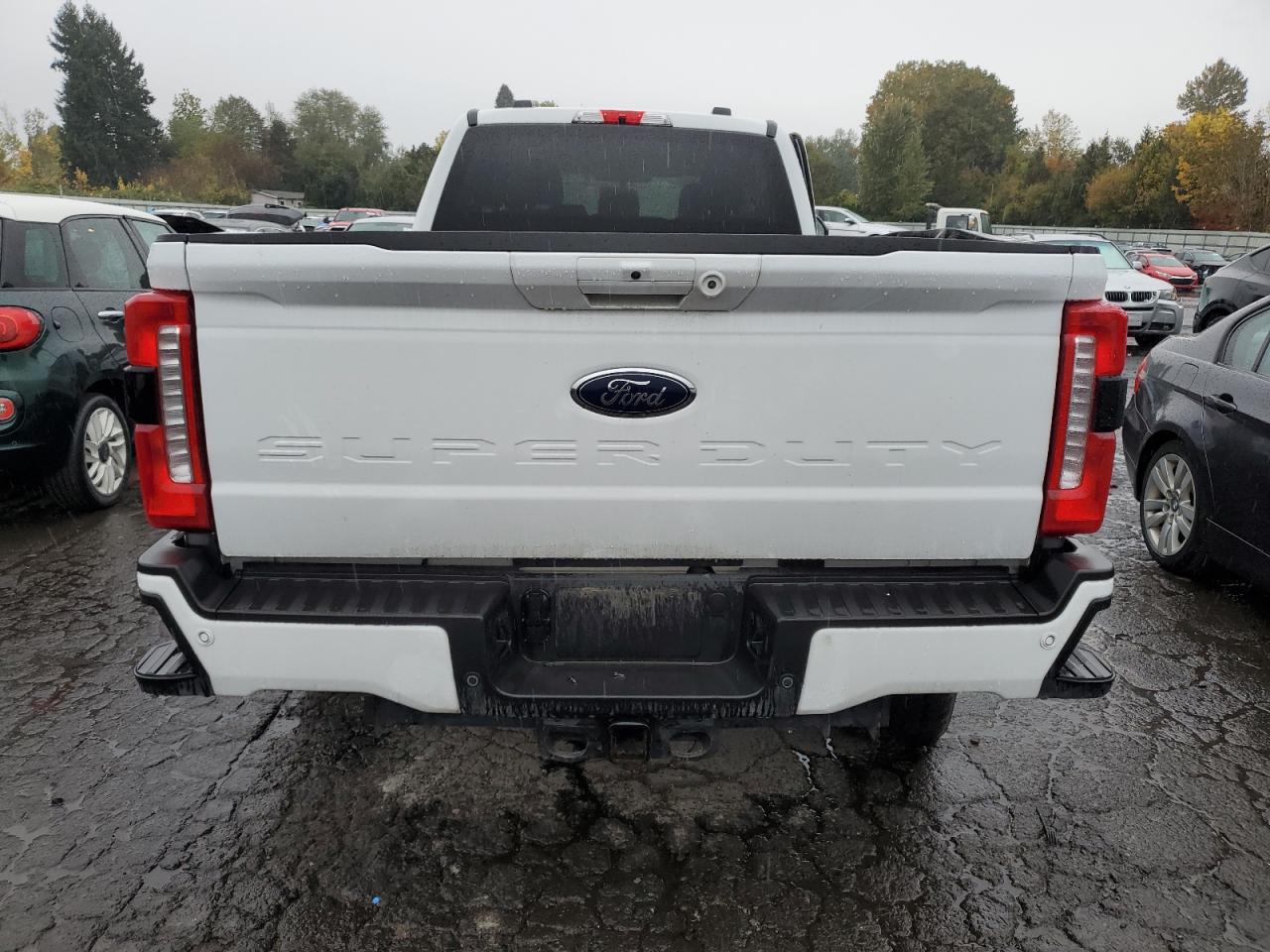 2024 Ford F250 Super Duty VIN: 1FT8W2BTXREE96610 Lot: 87120465