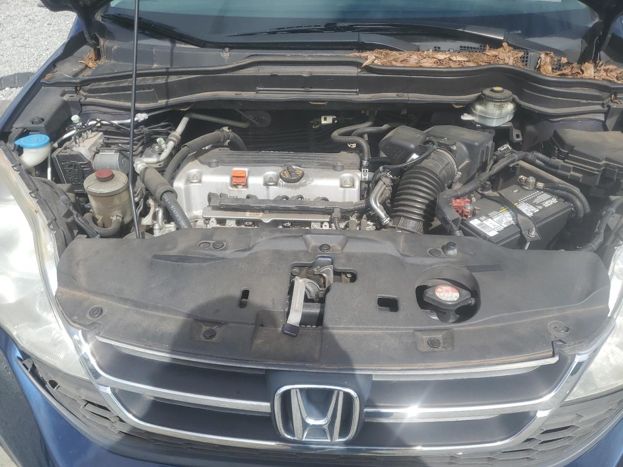 2011 Honda Cr-V Se VIN: 5J6RE3H45BL043441 Lot: 86313775