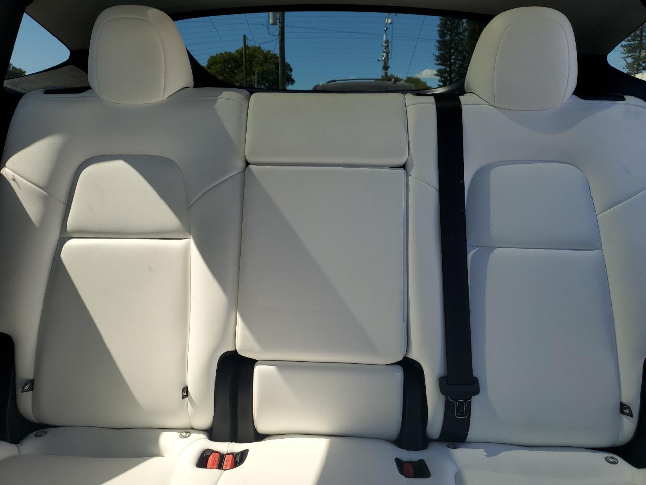 2024 Tesla Model Y VIN: 7SAYGDED7RF212493 Lot: 82731885