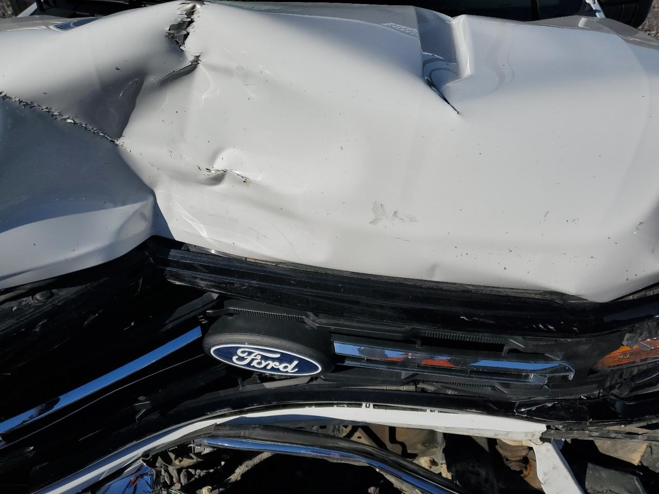 2024 Ford F150 Xlt VIN: 1FTFW3L54RKD05973 Lot: 87446625