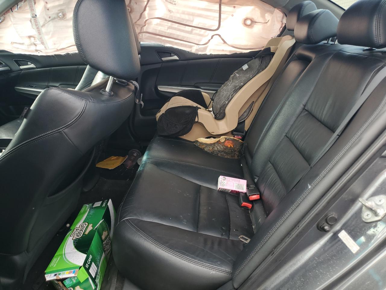 2010 Honda Accord Exl VIN: 1HGCP3F84AA016366 Lot: 85835675