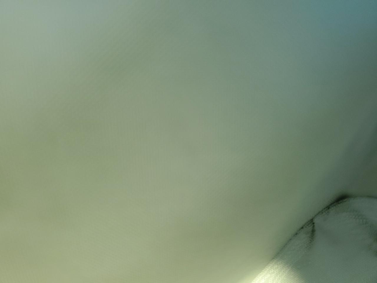 2024 Tesla Model X VIN: 7SAXCBE59RF455971 Lot: 85008975