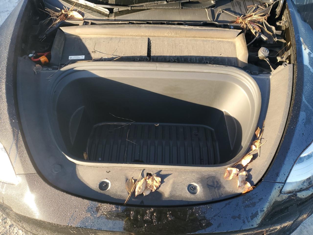 2023 Tesla Model Y VIN: 7SAYGDEE9PA144264 Lot: 90570005