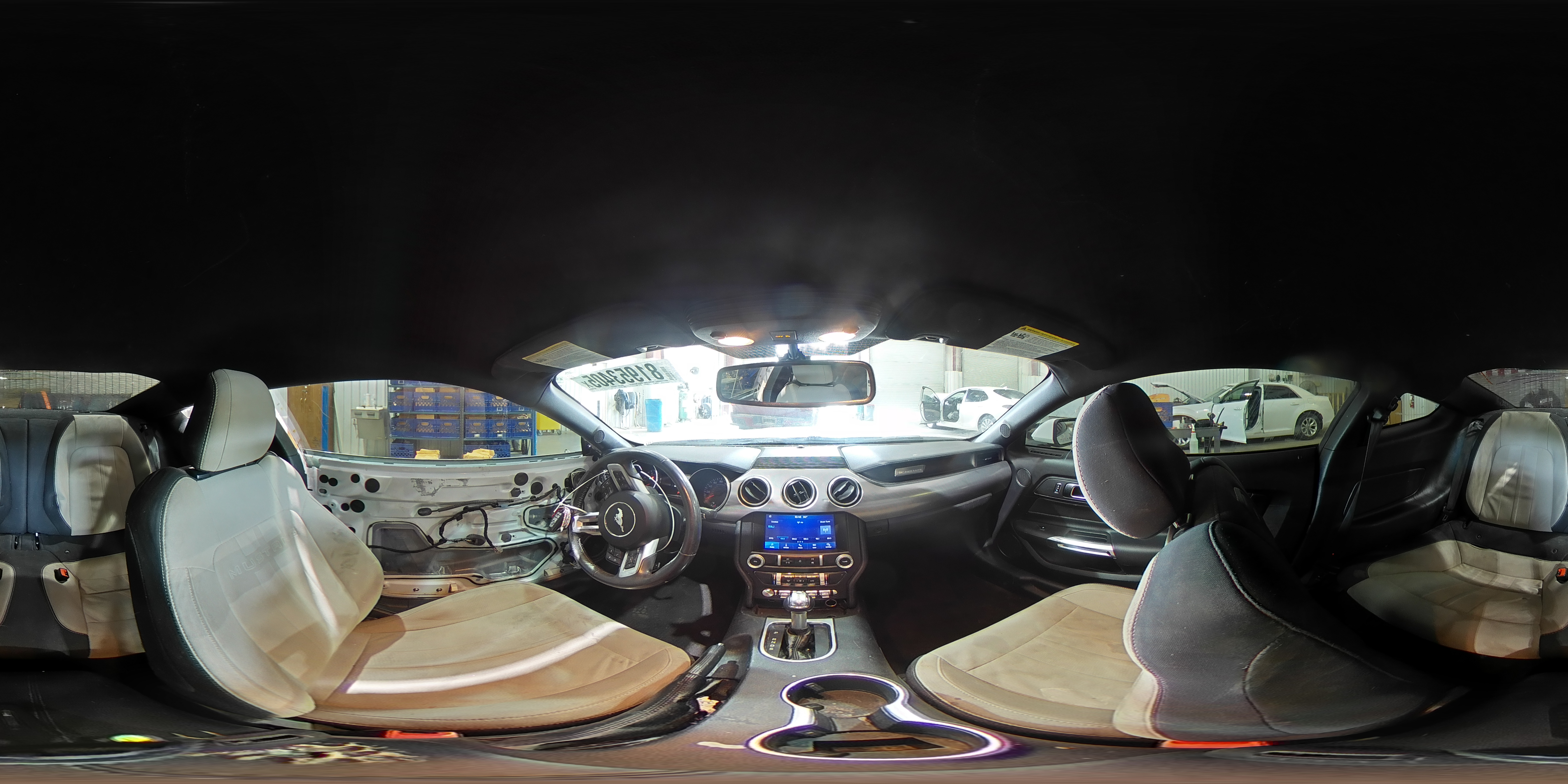 2019 Ford Mustang VIN: 1FA6P8TH4K5197112 Lot: 81953405