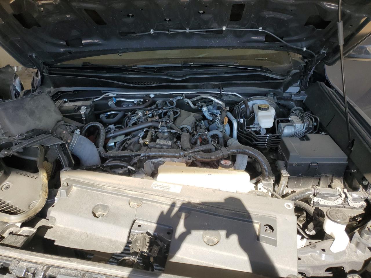 2024 Toyota Tacoma Double Cab VIN: 3TMLB5JN6RM022769 Lot: 85087965