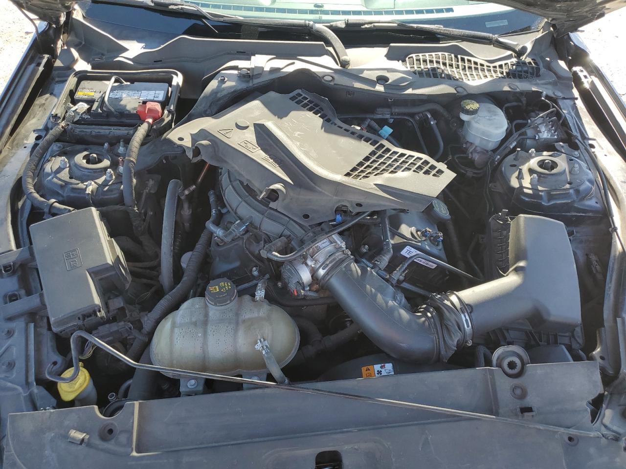 2015 Ford Mustang VIN: 1FA6P8AM8F5405059 Lot: 89826105