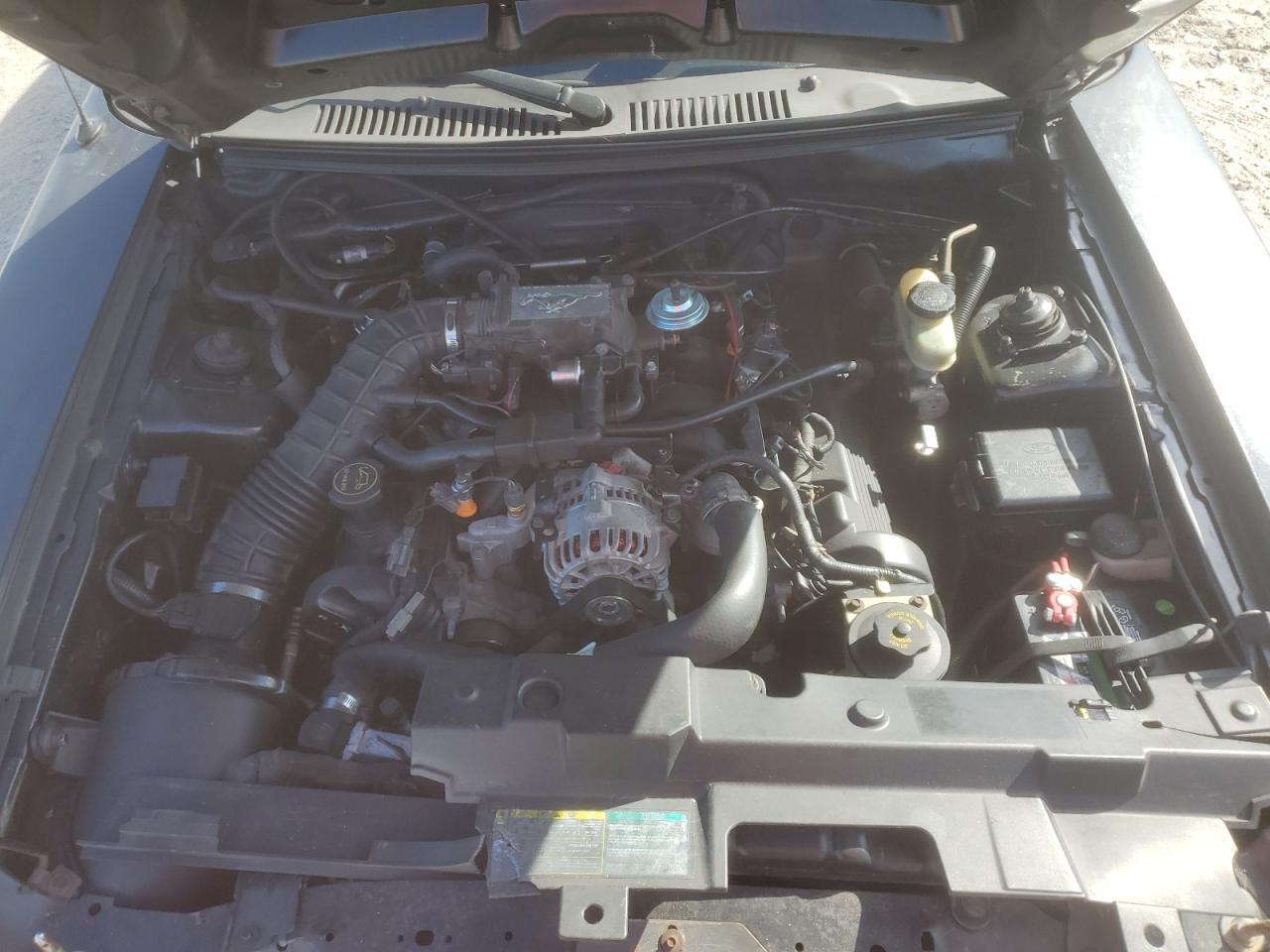 2003 Ford Mustang Gt VIN: 1FAFP42XX3F319887 Lot: 82412405