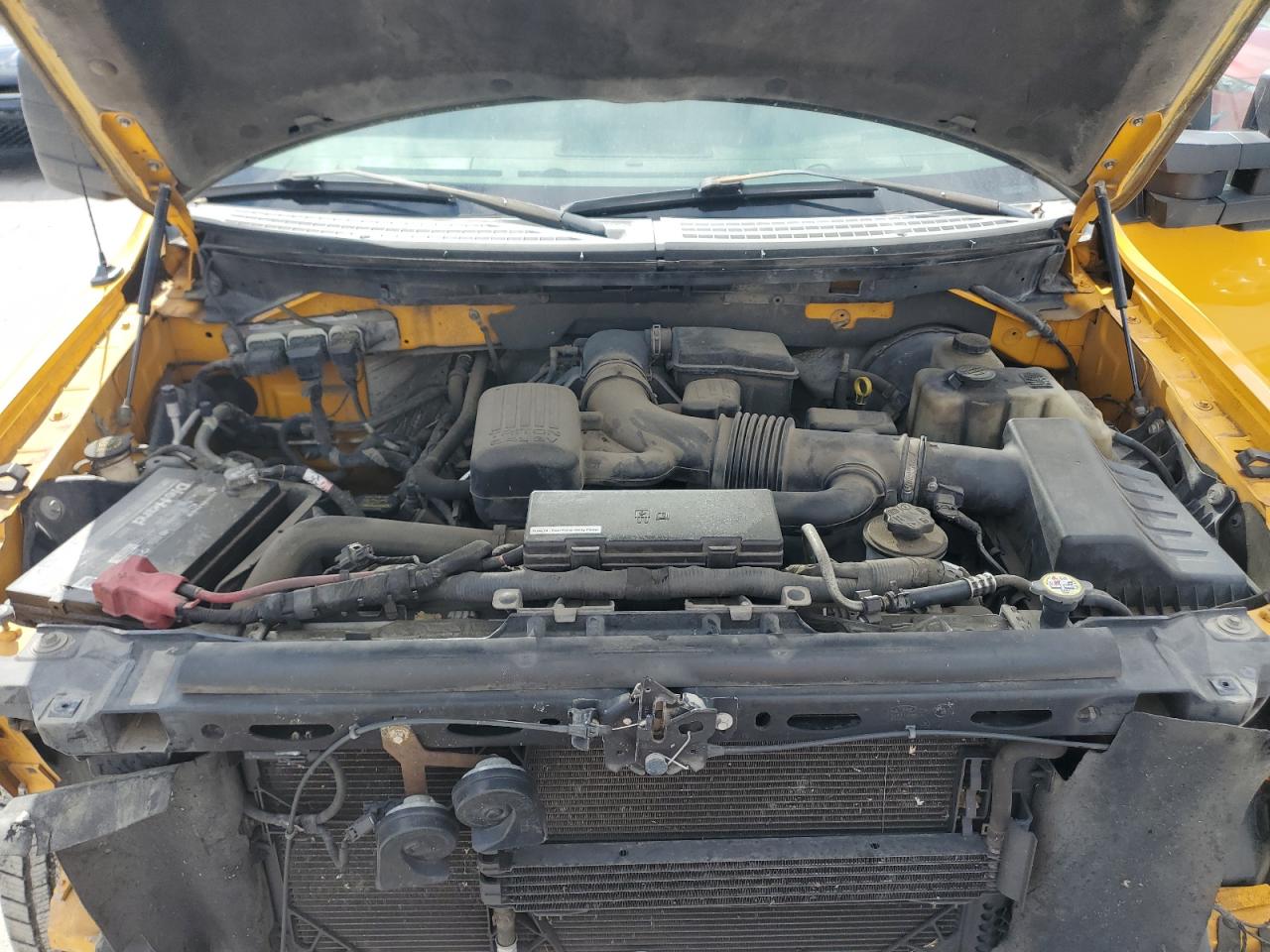 2010 Ford F150 VIN: 1FTPF1CV6AKE27439 Lot: 82313435