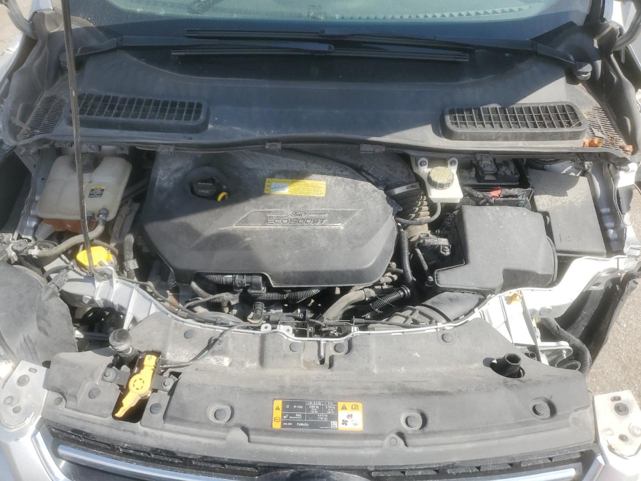 2013 Ford Escape Sel VIN: 1FMCU0HX7DUB81014 Lot: 81979875