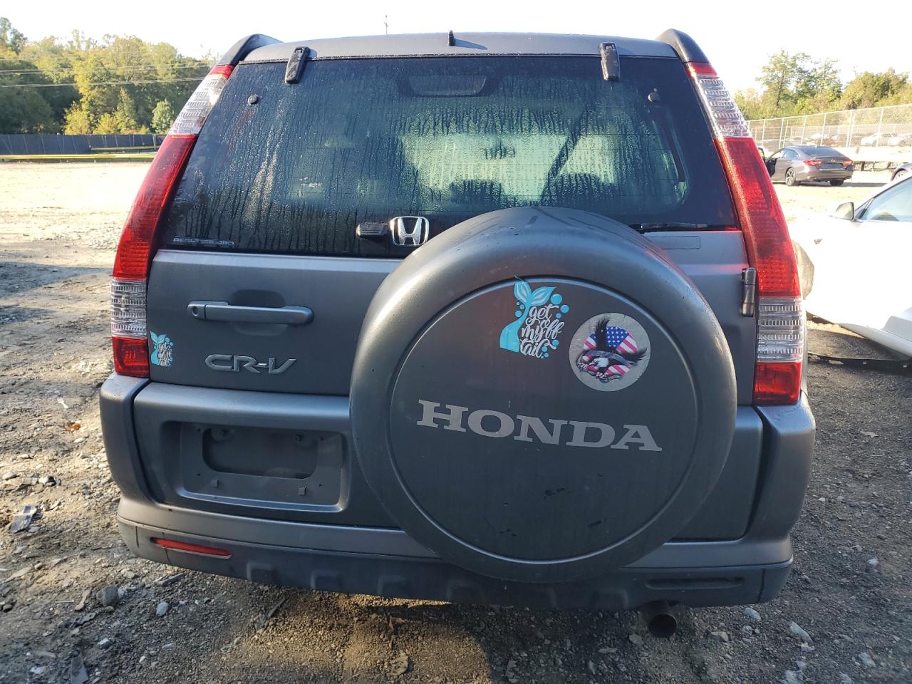 2005 Honda Cr-V Se VIN: JHLRD78995C060908 Lot: 85911935