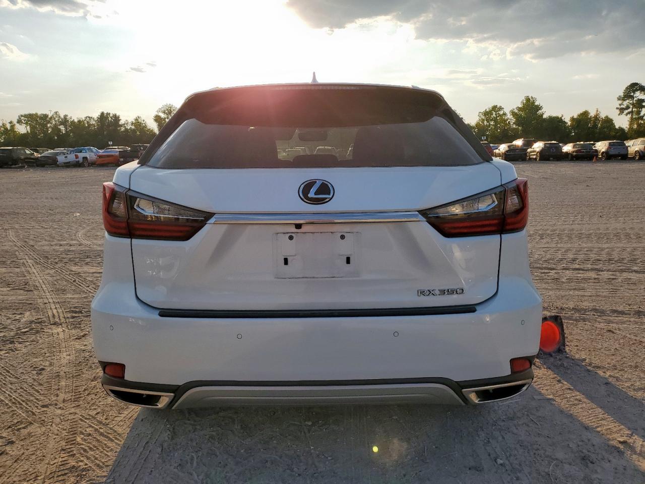 2020 Lexus Rx 350 VIN: 2T2HZMAA1LC160160 Lot: 82186285