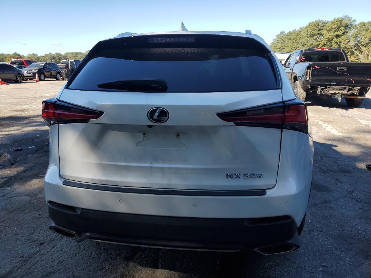 2020 Lexus Nx 300 VIN: JTJGARBZ1L5013453 Lot: 85913495
