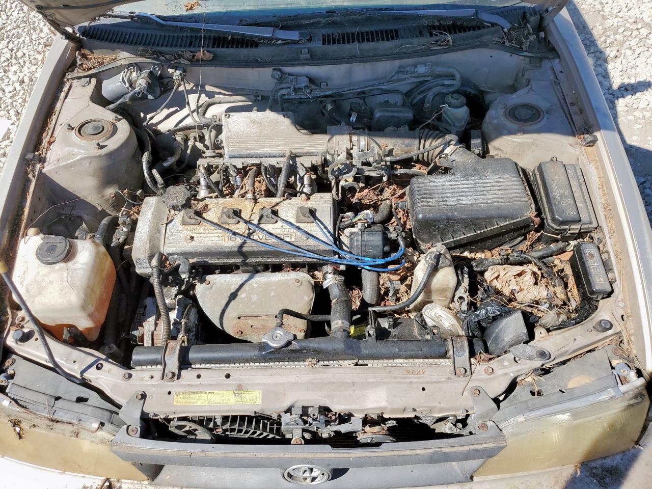 1993 Toyota Corolla Le VIN: 1NXAE09E5PZ027570 Lot: 85727455