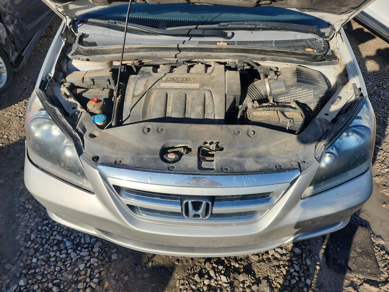 2007 Honda Odyssey Exl VIN: 5FNRL38697B456826 Lot: 85890275