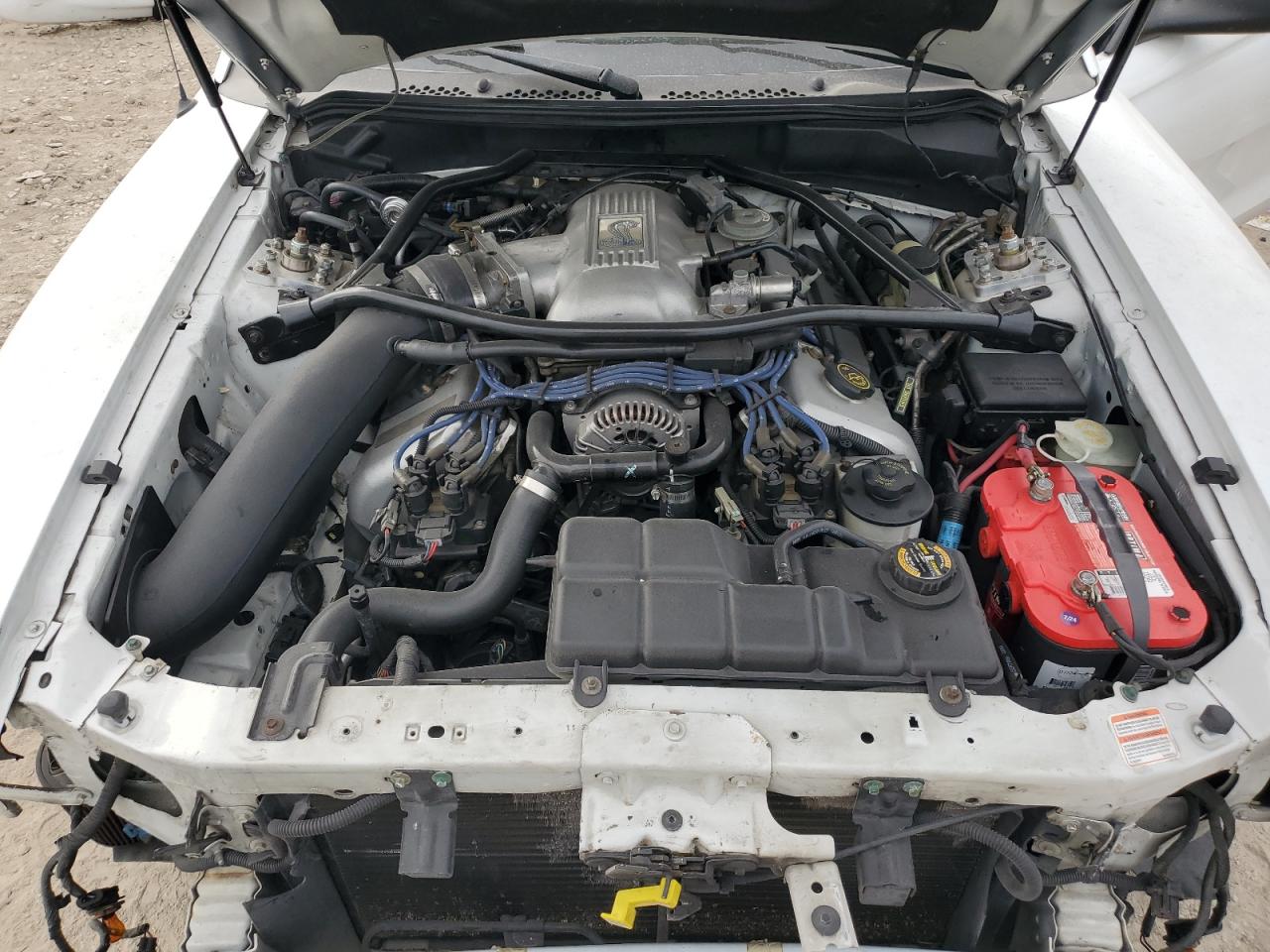 1996 Ford Mustang Cobra VIN: 1FALP47V4TF125883 Lot: 86488405