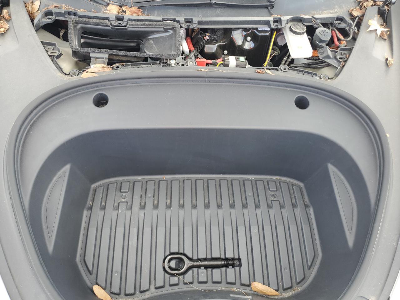 2023 Tesla Model 3 VIN: 5YJ3E1EA8PF562813 Lot: 82222565