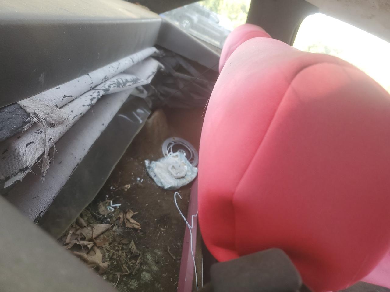 1987 Alfa Romeo Spider Quadrifoglio VIN: ZARBA5562H1052788 Lot: 85068625