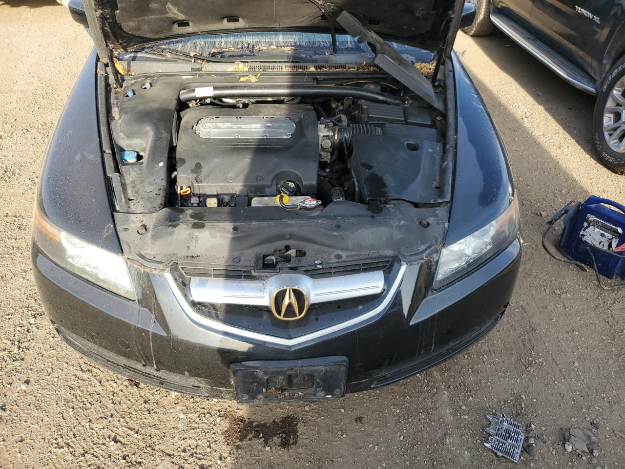 2006 Acura 3.2Tl VIN: 19UUA66276A073235 Lot: 84296095