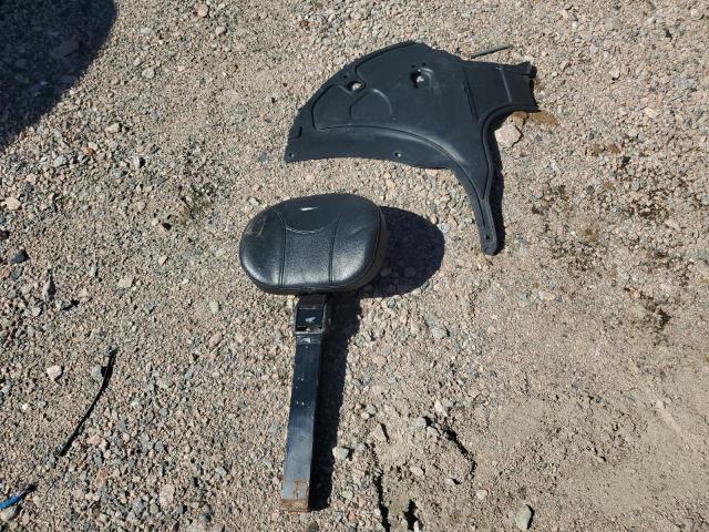 2008 OTHER MOTORCYCLE THOROUGHBRED STALLION