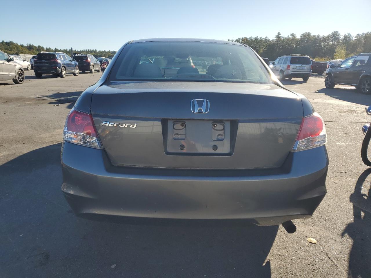 2010 Honda Accord Lx VIN: 1HGCP2F31AA123650 Lot: 85823465