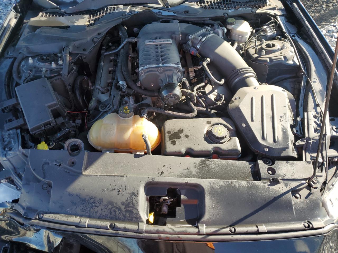 2015 Ford Mustang Gt VIN: 1FA6P8CF0F5301292 Lot: 91107375