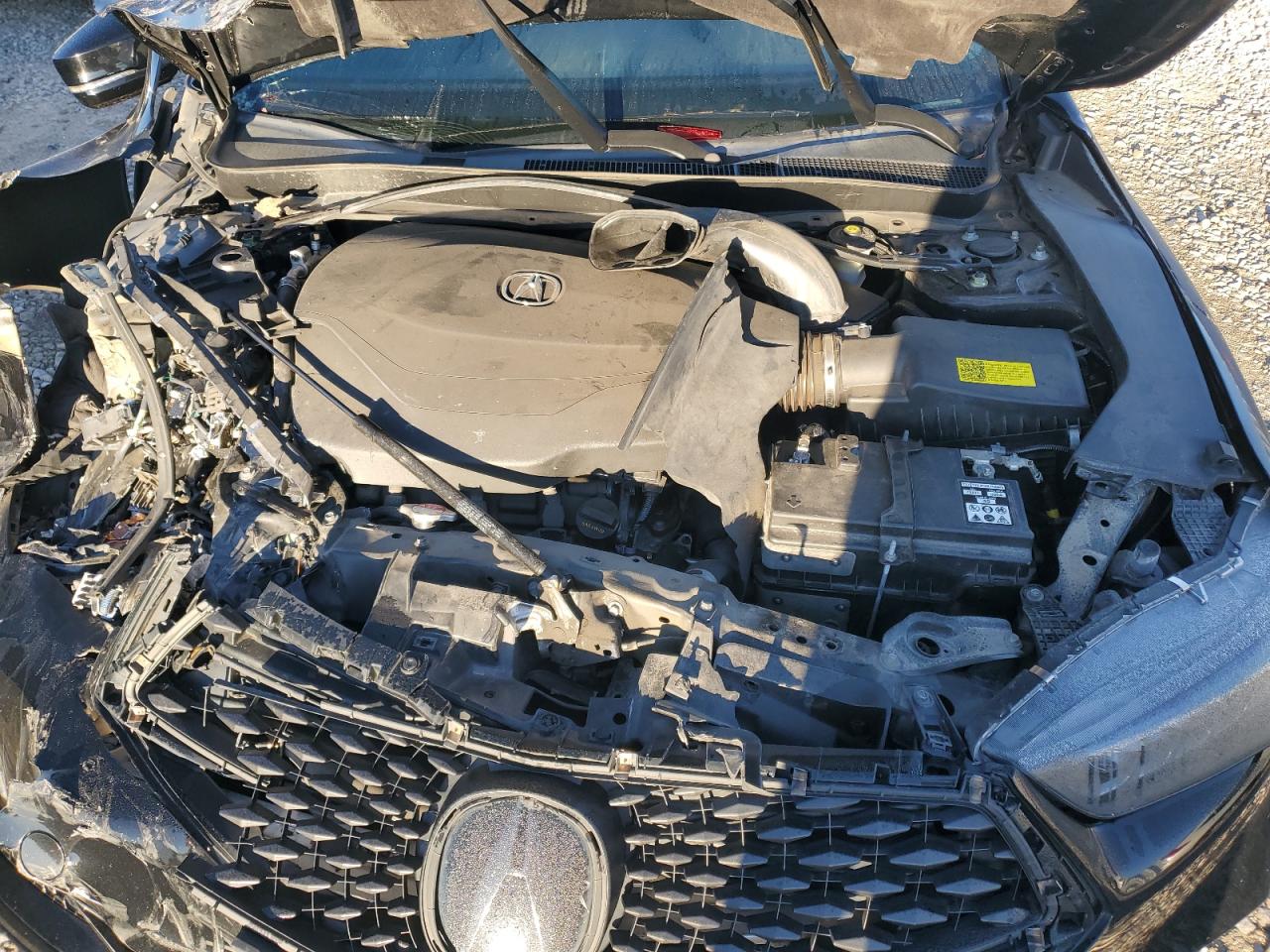 2019 Acura Tlx Technology VIN: 19UUB3F69KA005978 Lot: 82280345