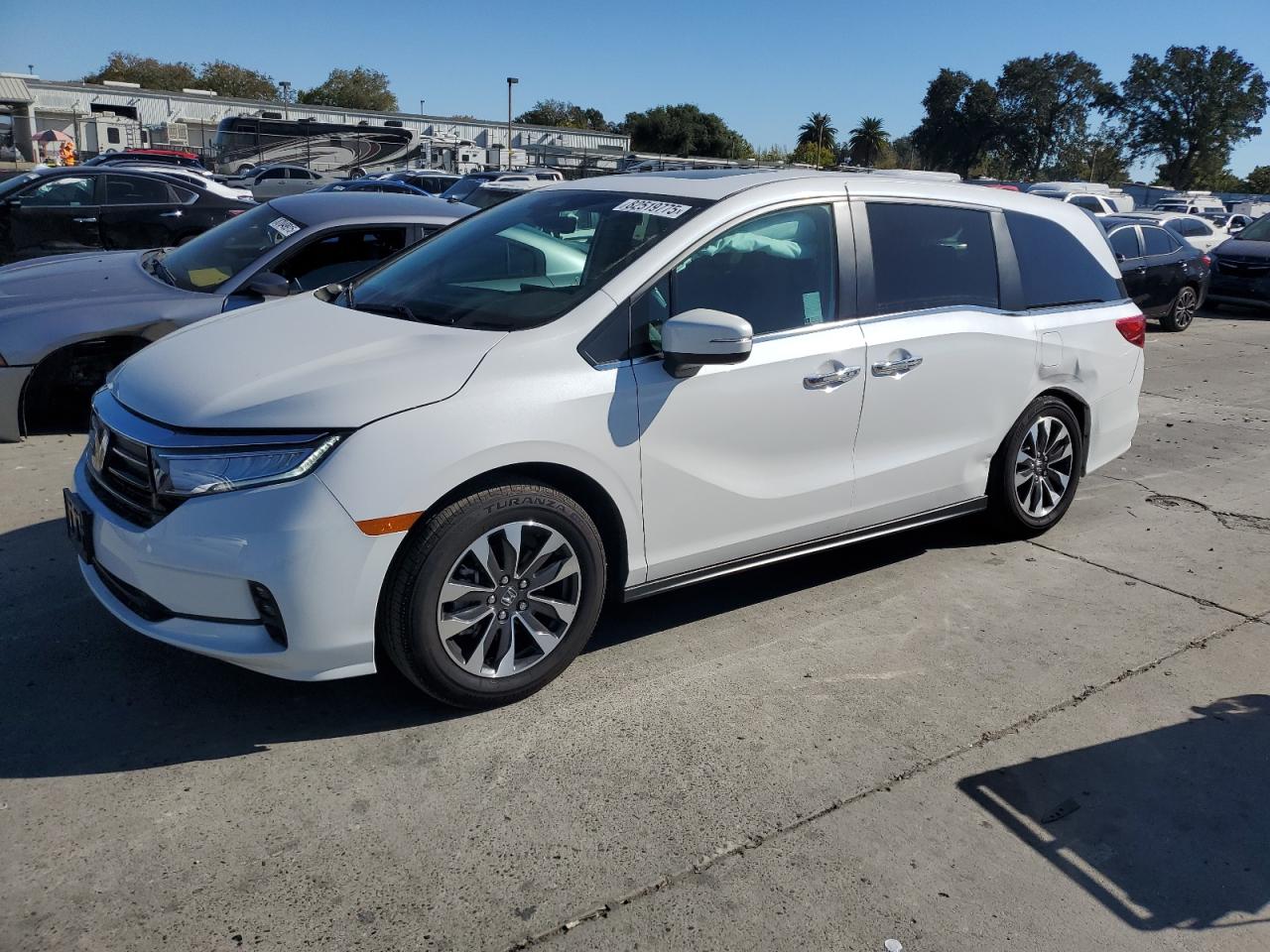 2024 Honda Odyssey Exl