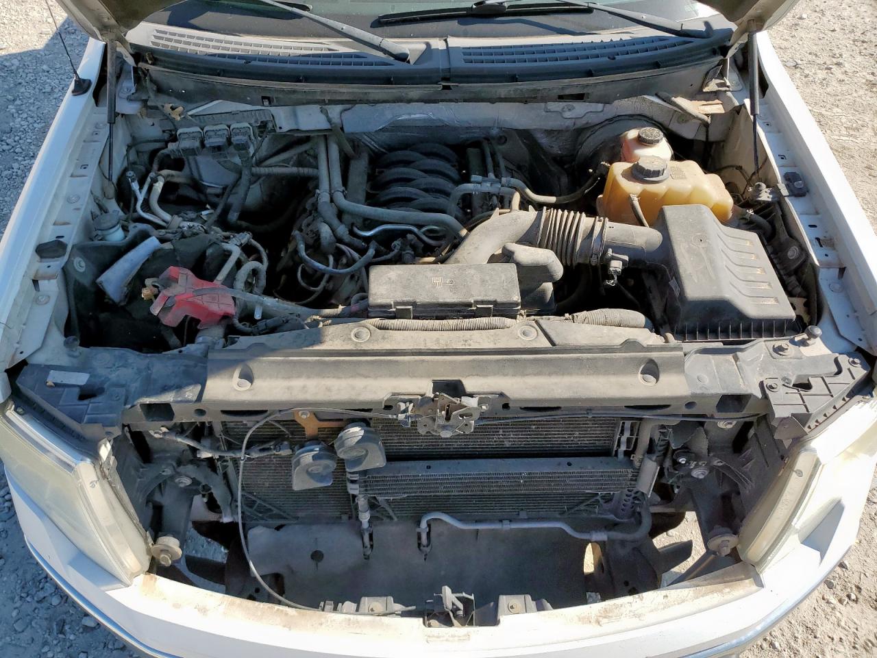 2013 Ford F150 Supercrew VIN: 1FTFW1CF7DFB37146 Lot: 84429445