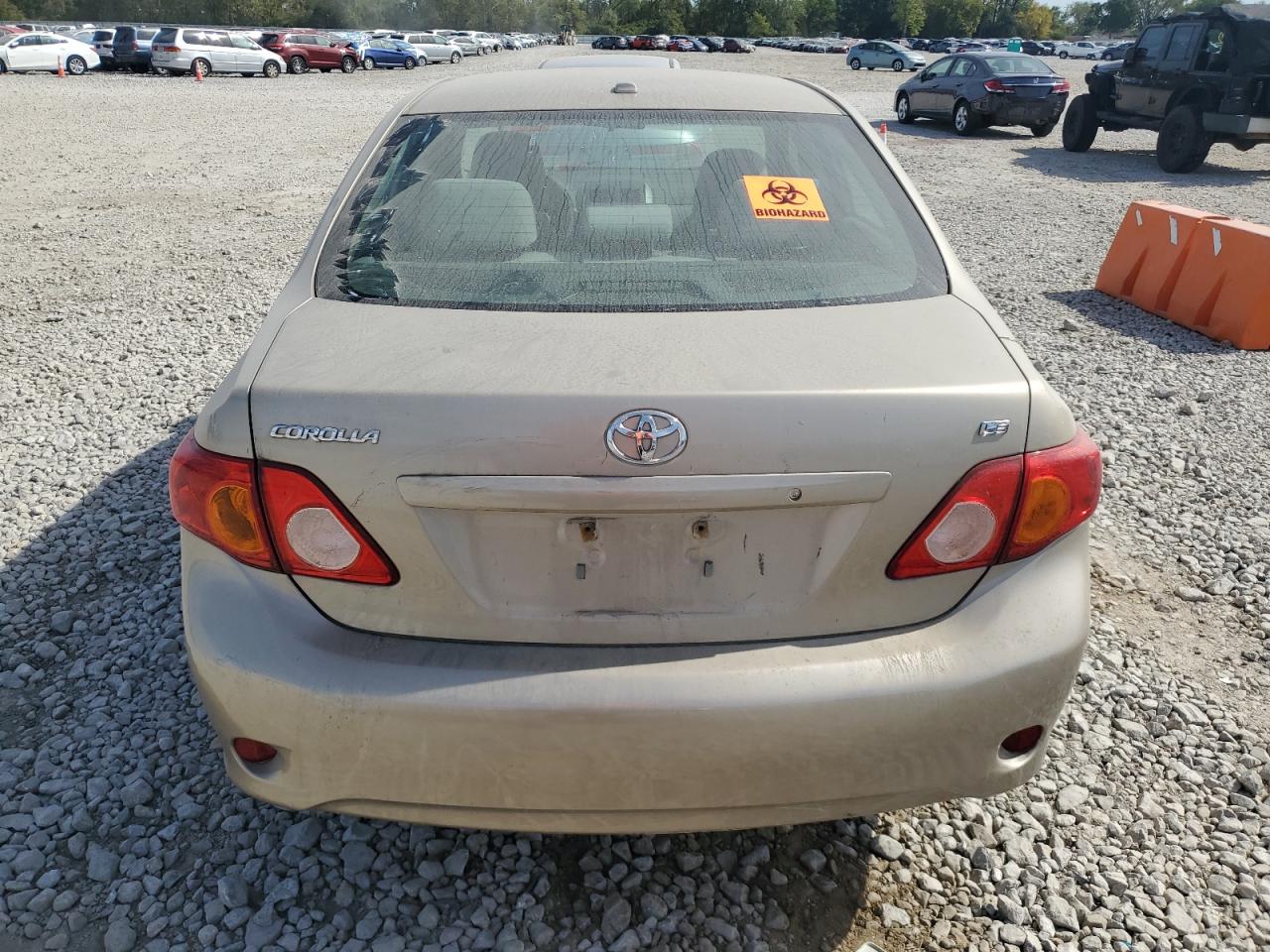2010 Toyota Corolla Base VIN: 2T1BU4EE3AC486996 Lot: 81975015