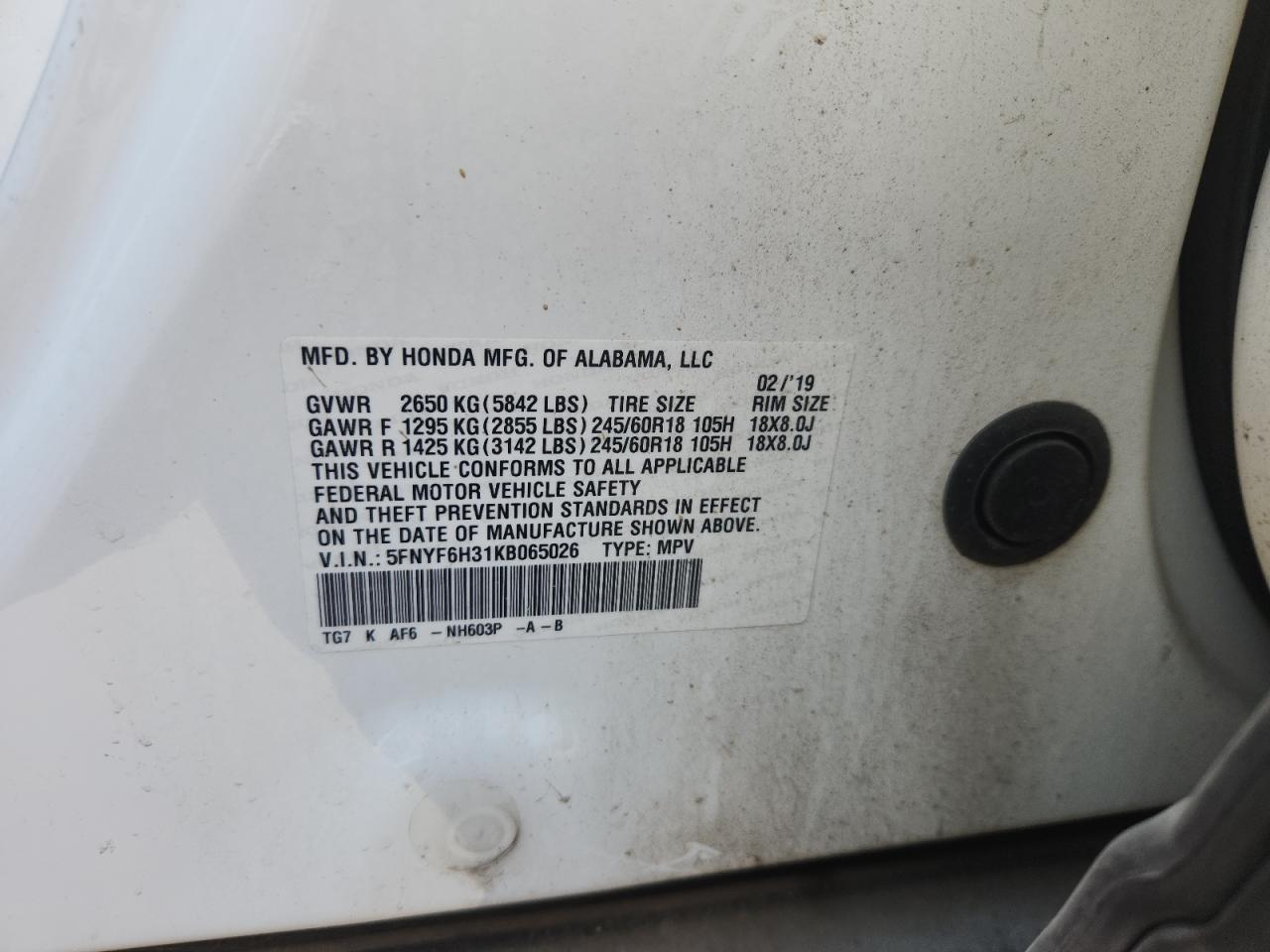 2019 Honda Pilot Ex VIN: 5FNYF6H31KB065026 Lot: 81438695