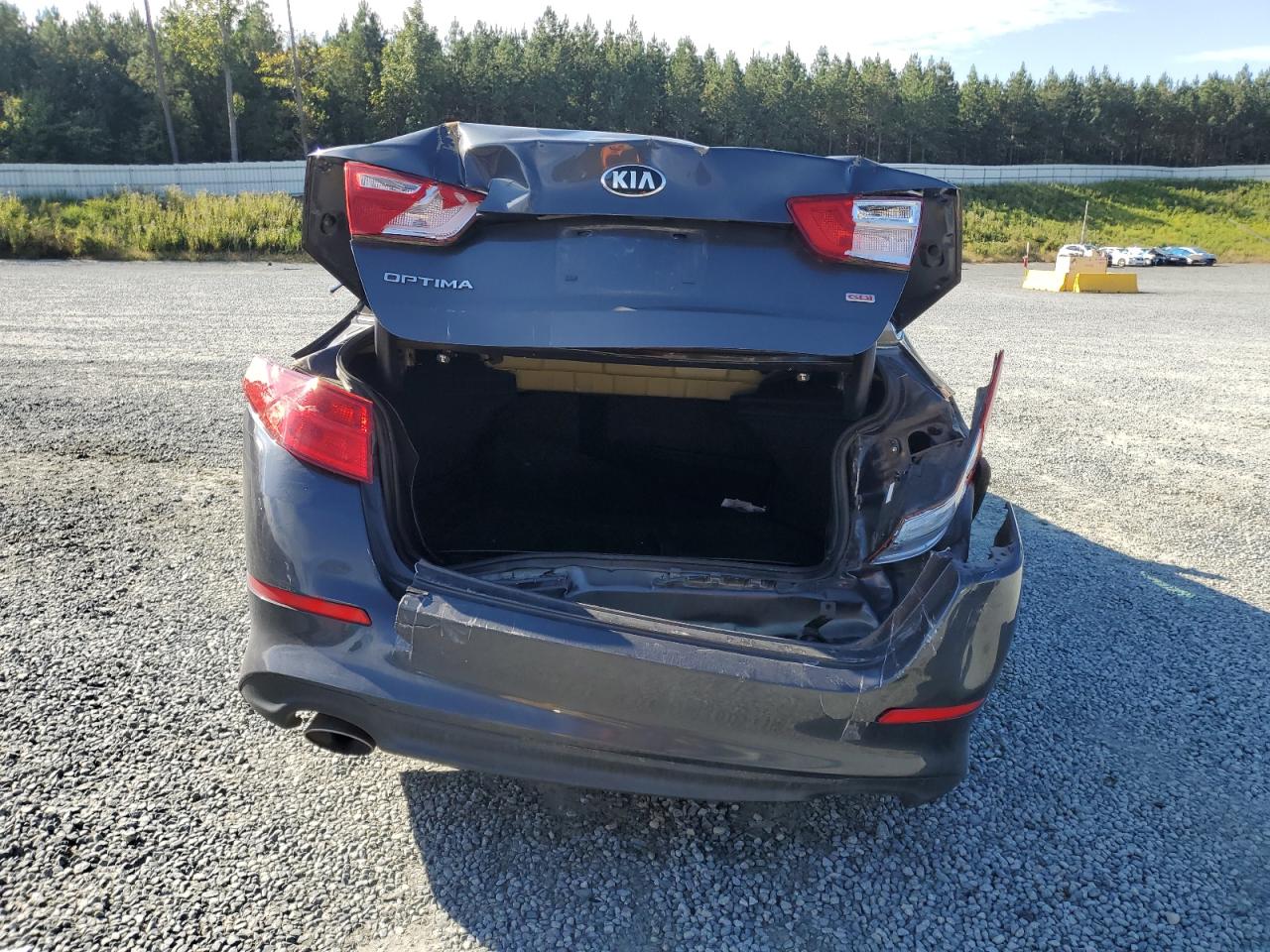 2015 Kia Optima Lx VIN: KNAGM4A70F5629546 Lot: 81954715