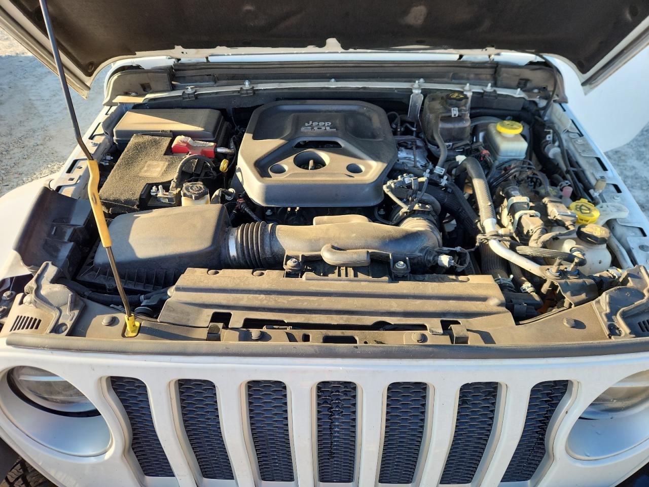 2020 Jeep Wrangler Unlimited Sahara VIN: 1C4HJXEN8LW247541 Lot: 84644725