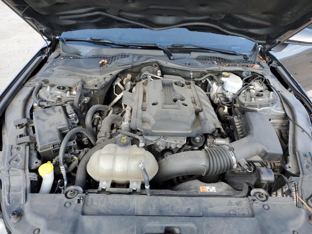 2018 Ford Mustang VIN: 1FA6P8TH7J5126811 Lot: 84983435