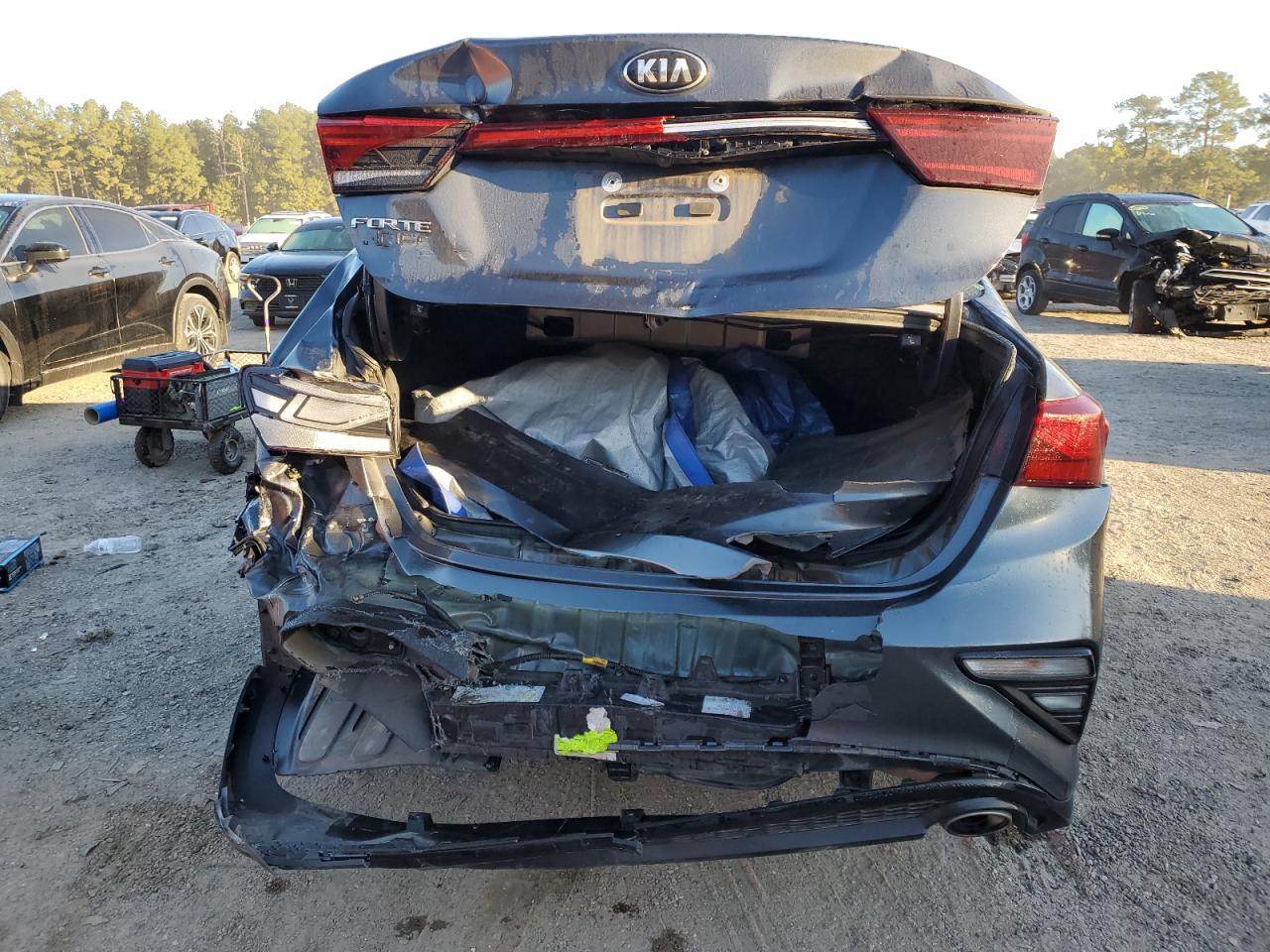 2021 Kia Forte Fe VIN: 3KPF24AD7ME299495 Lot: 89536905
