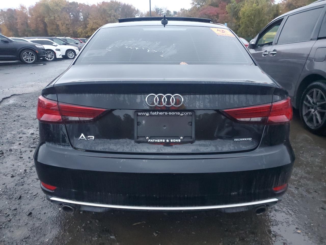 2019 Audi A3 Premium VIN: WAUBEGFF7K1027916 Lot: 87096855