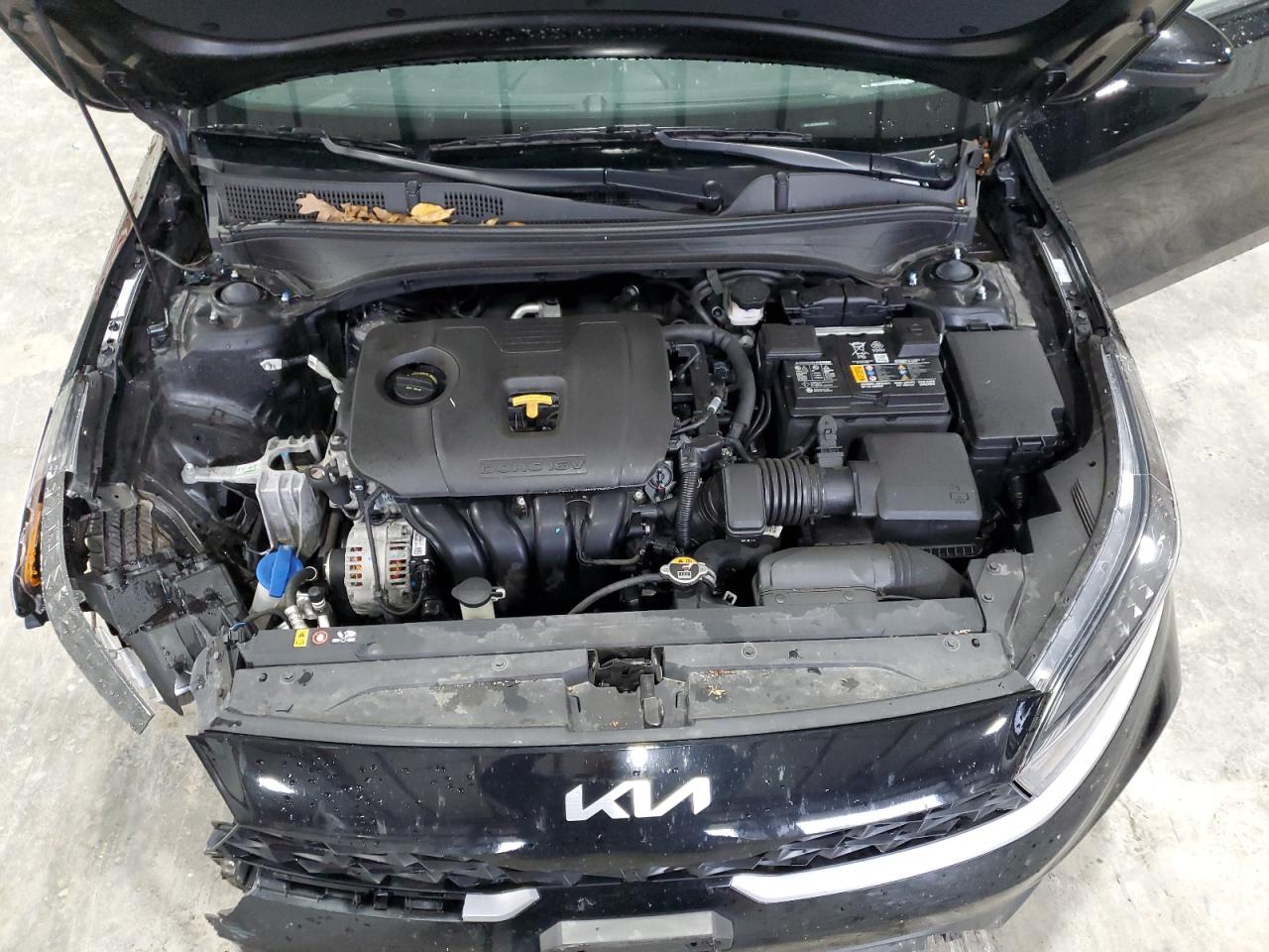 2024 Kia Forte Lx VIN: 3KPF24AD8RE804404 Lot: 87005055