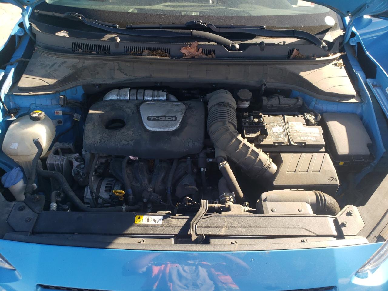 2019 Hyundai Kona Limited VIN: KM8K33A53KU250092 Lot: 81968935