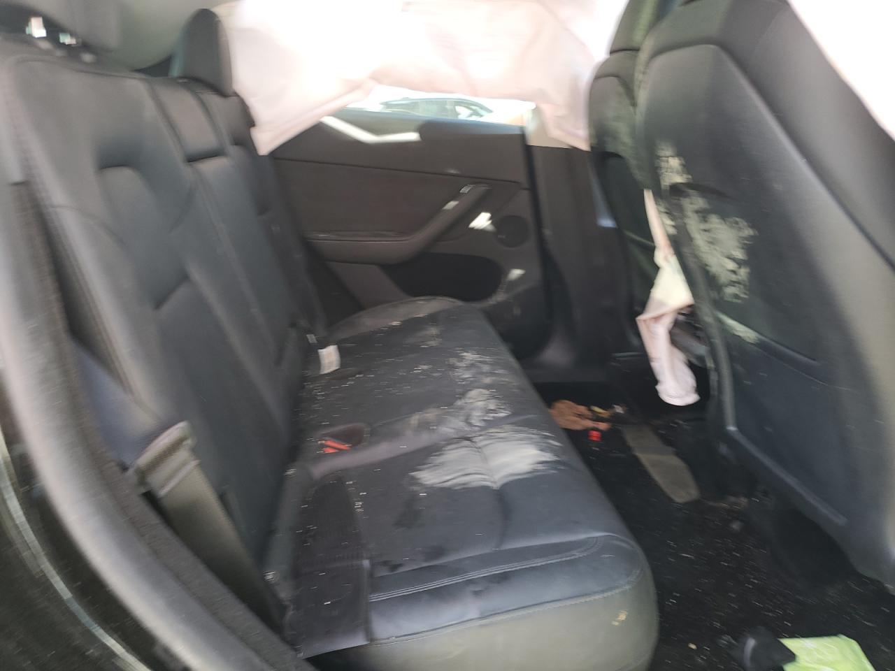 2023 Tesla Model Y VIN: 7SAYGDEE6PA213542 Lot: 84751675