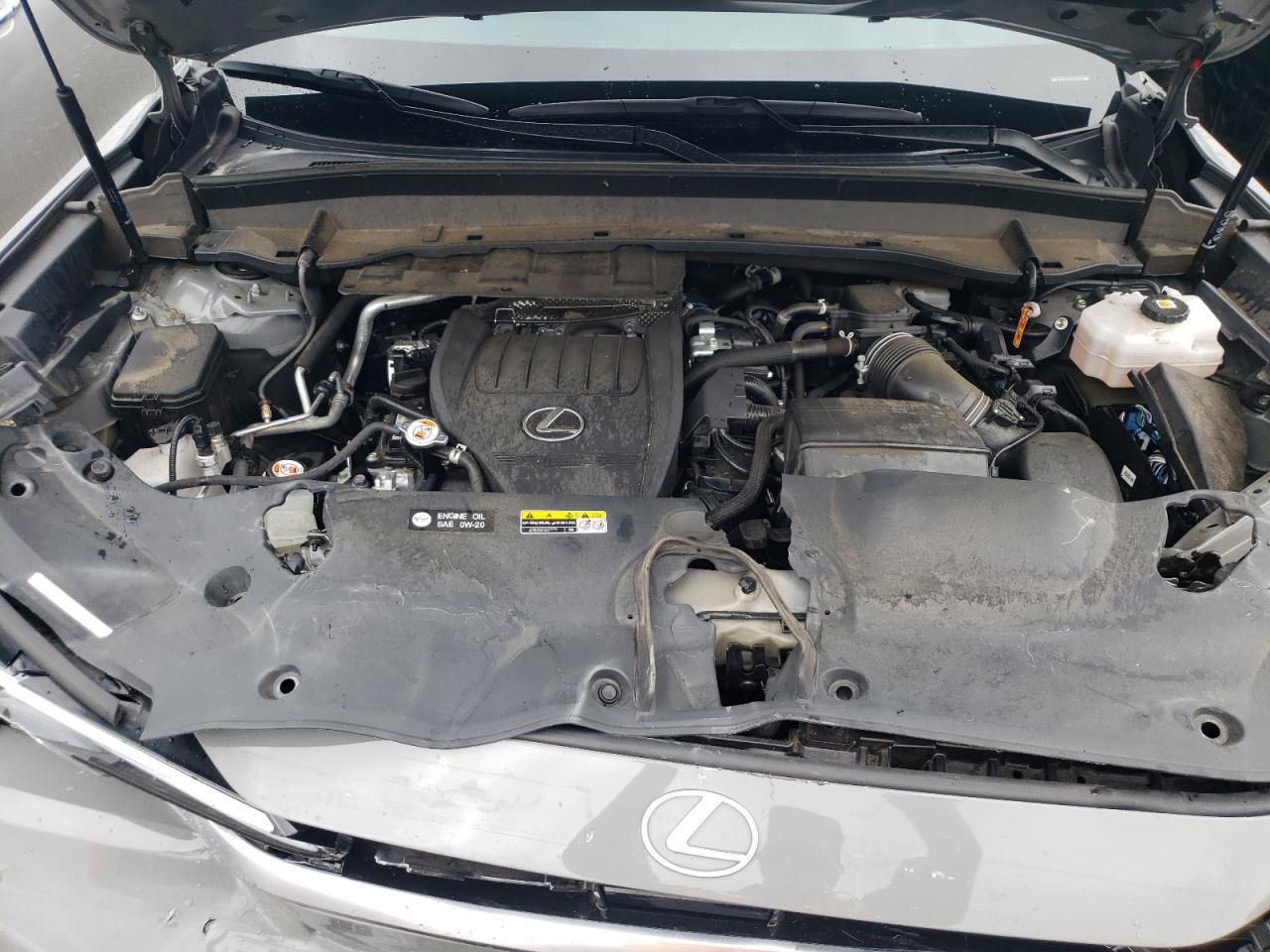 2024 Lexus Tx 500H F Sport Premium VIN: 5TDABAB65RS001452 Lot: 84412385