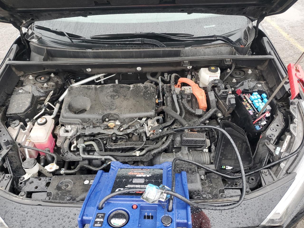 2022 Toyota Rav4 Xle VIN: 4T3RWRFV8NU060057 Lot: 85699895