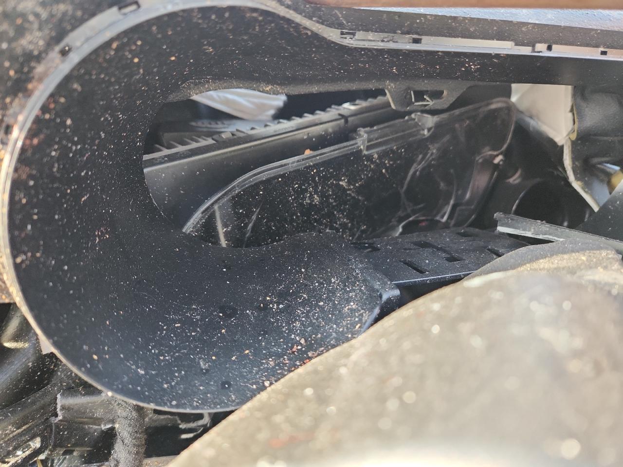 2020 Ford Mustang VIN: 1FA6P8TH8L5124052 Lot: 81966755